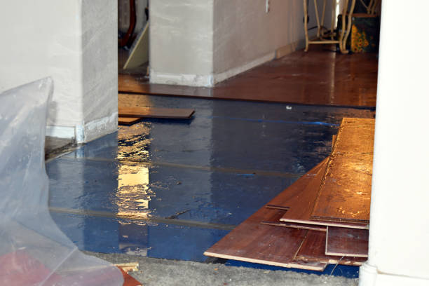 Professional Flood Cleanup technician working in Columbia, NJ